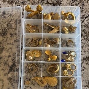 17 pair earrings in clear storage container